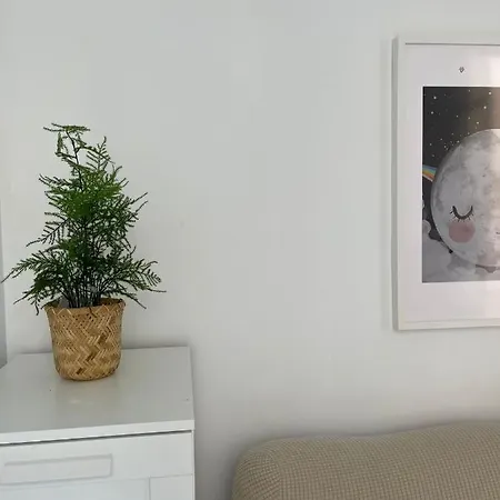 Ancha Del Carmen Apartment *